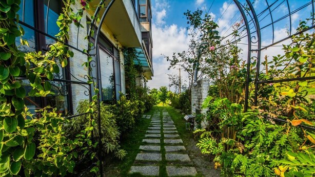 A narrow stone pathway flanked by lush greenery and a building with large windows. - My Sweetie B&B (Dongshan)
