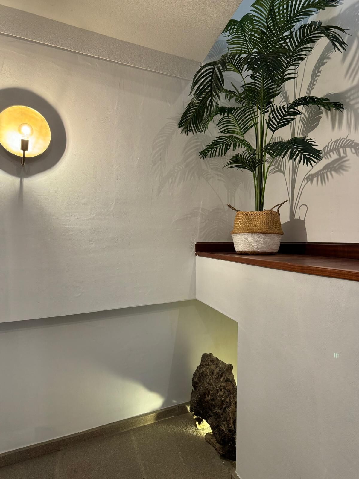 Un pasillo con una lámpara de pared, una planta en maceta y una roca en el suelo.