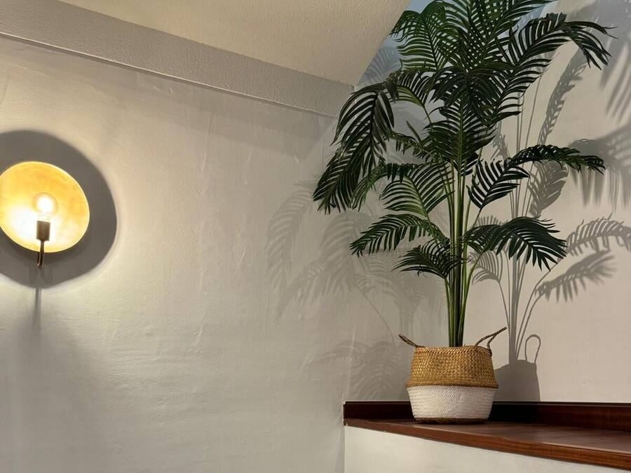 Un pasillo con una lámpara de pared, una planta en maceta y una roca en el suelo.