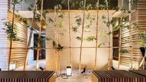 A modern interior with bamboo plants, wooden slats, and a central seating area. - Hotel Hillarys Akasaka (Tokyo)