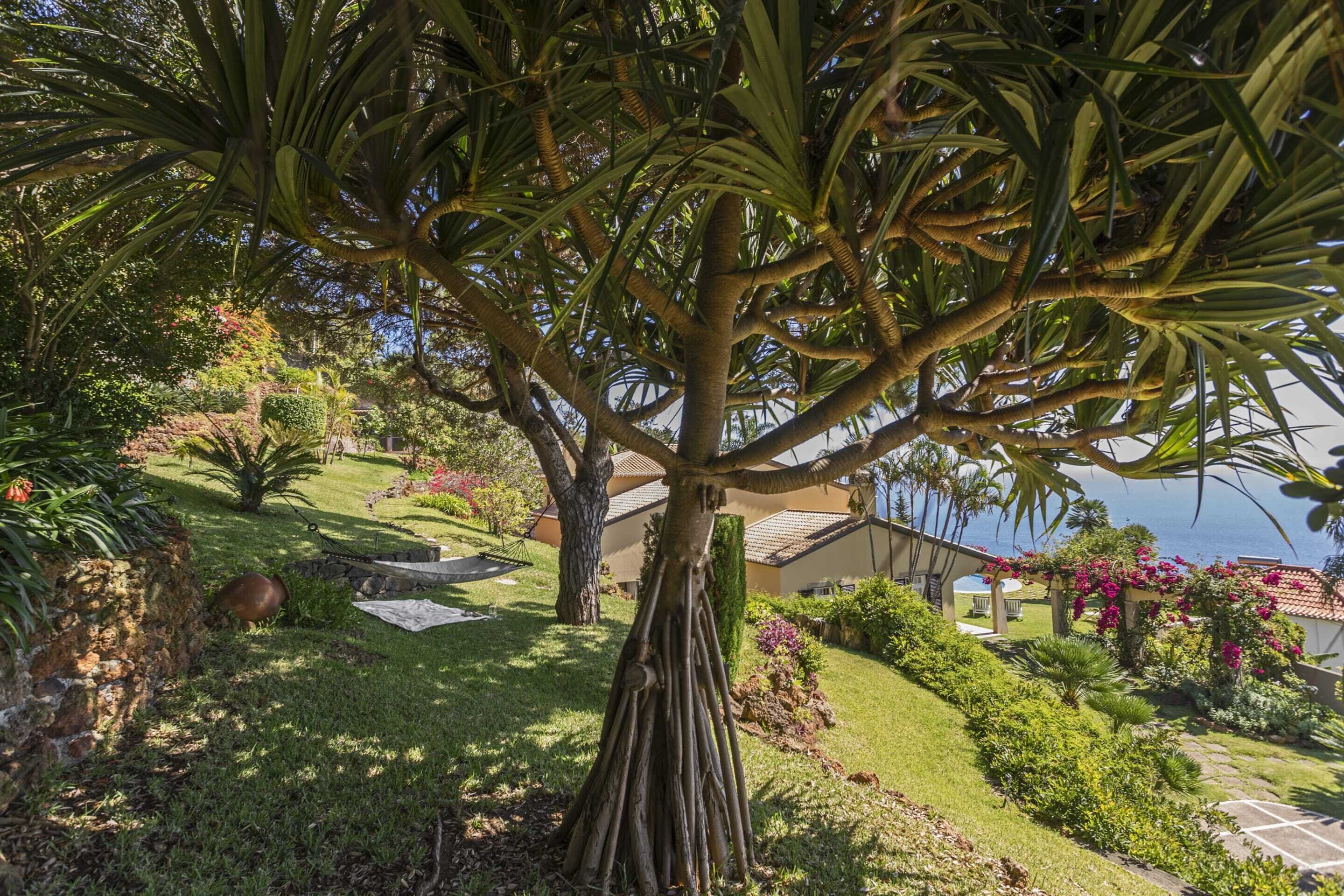 Photo - Vila Eucalipto by An Island Apart