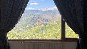 Deluxe Double Room, Mountain View | View from room