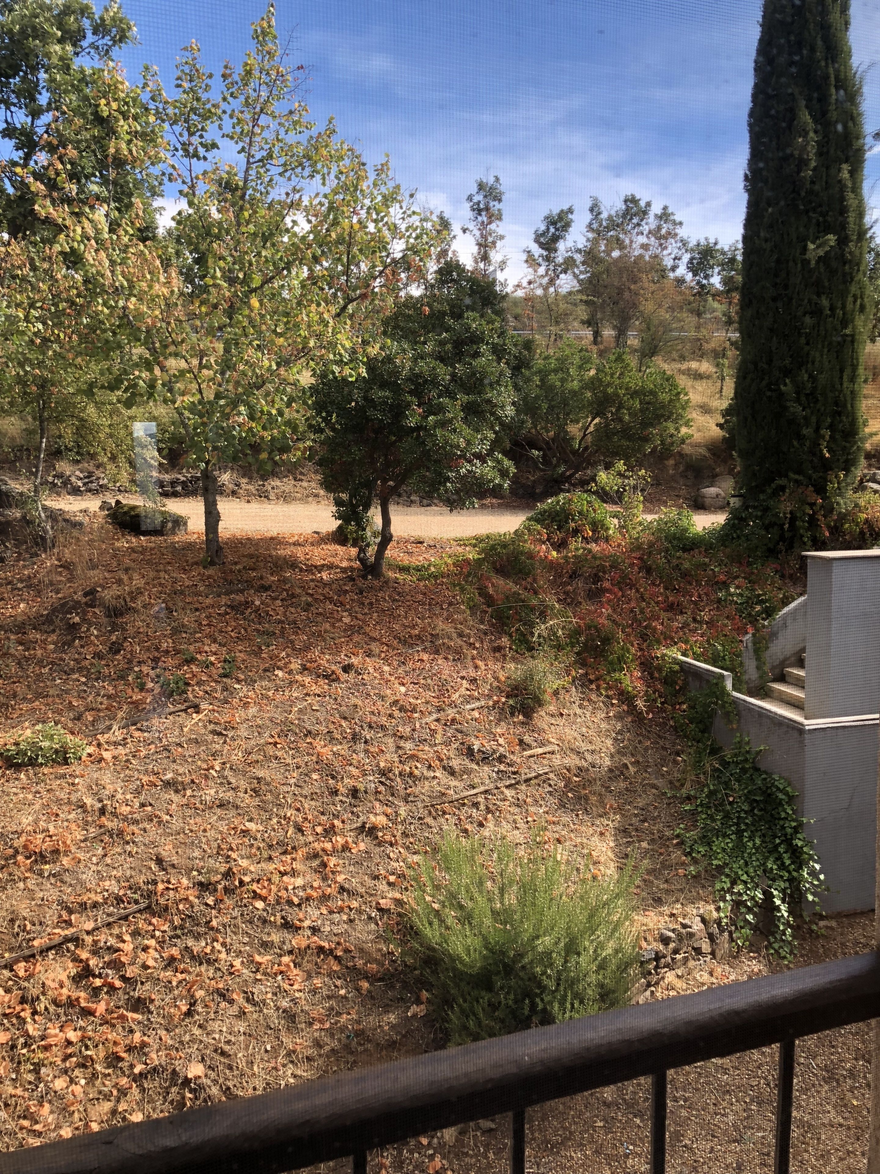 standard double room | view from room