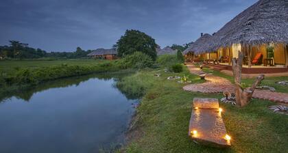 Amuna Ayurveda and Wellness Retreat