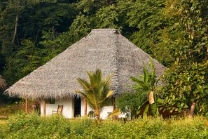 A thatched-roof hut with a white exterior, surrounded by lush greenery and trees. - Amuna Ayurveda and Wellness Retreat (Sigiriya)