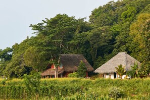 A thatched-roof house surrounded by lush greenery. - Amuna Ayurveda and Wellness Retreat (Sigiriya)