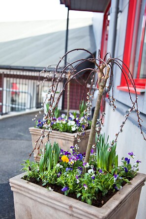 A potted plant with flowers and a small tree branch.