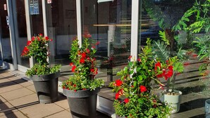 Entrada de um edifício com grandes janelas e plantas em vasos com flores vermelhas.