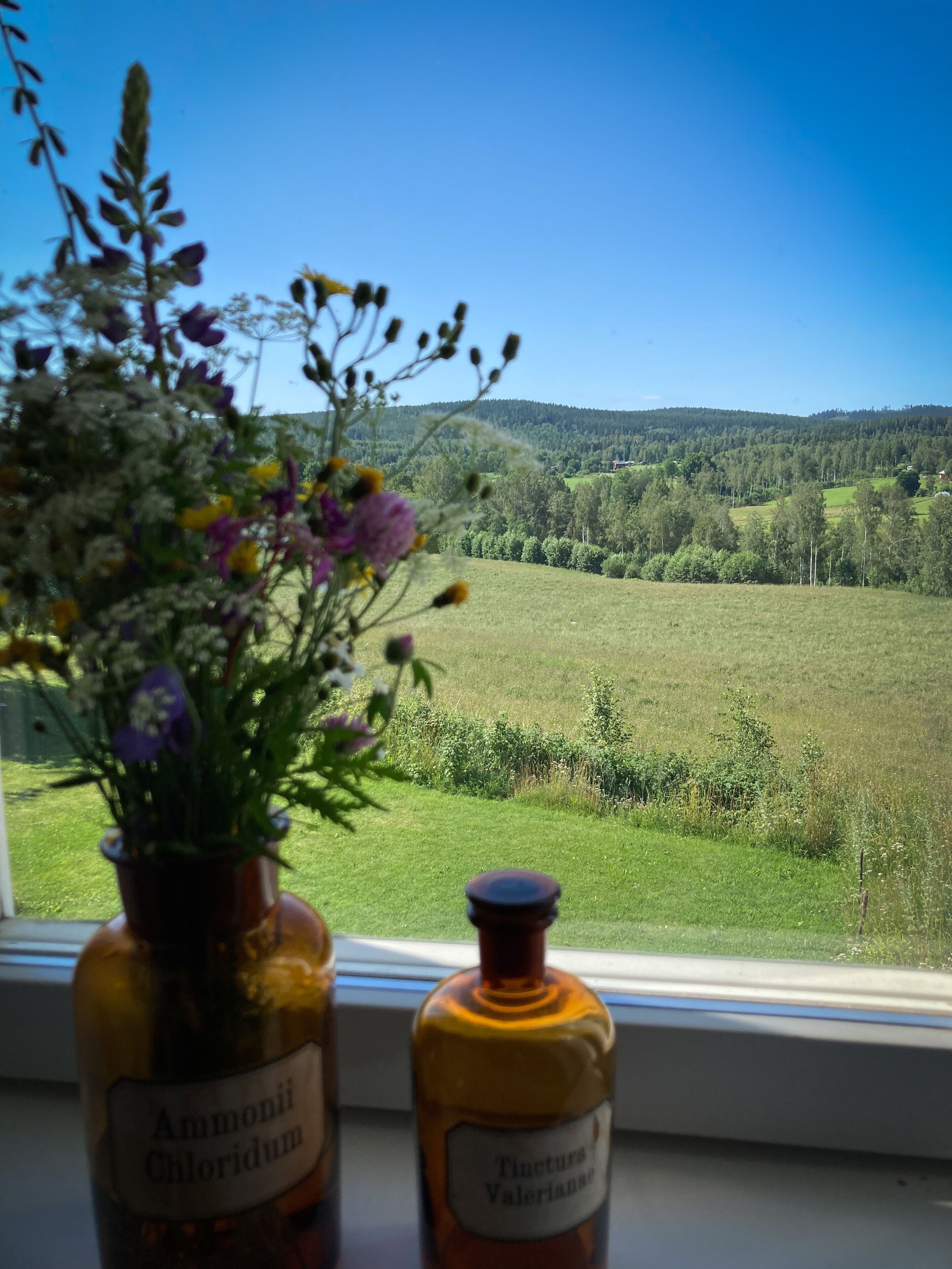 standard room | premium bedding, blackout curtains, soundproofing, iron/ironing board