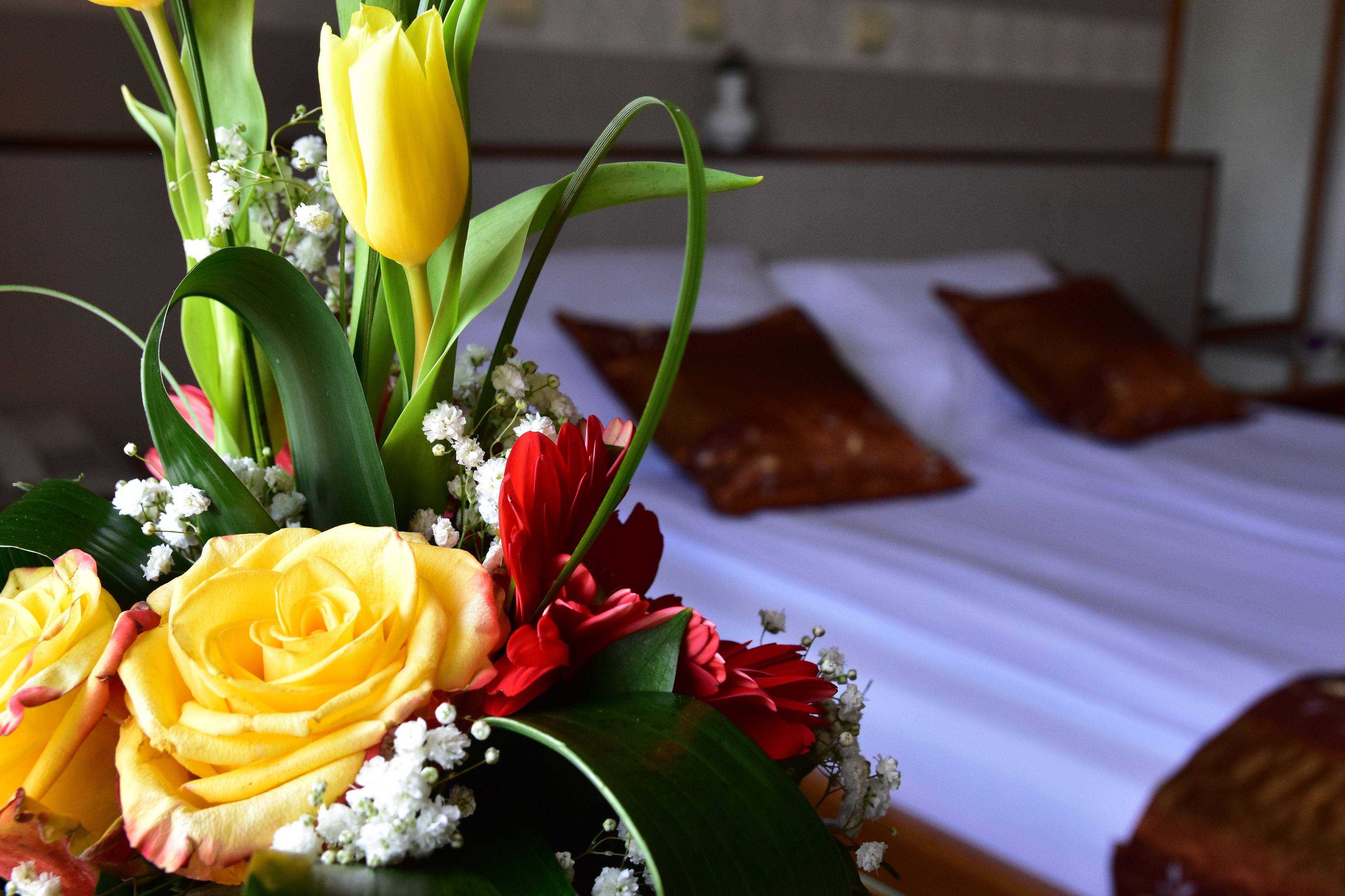 Équipements de la chambre