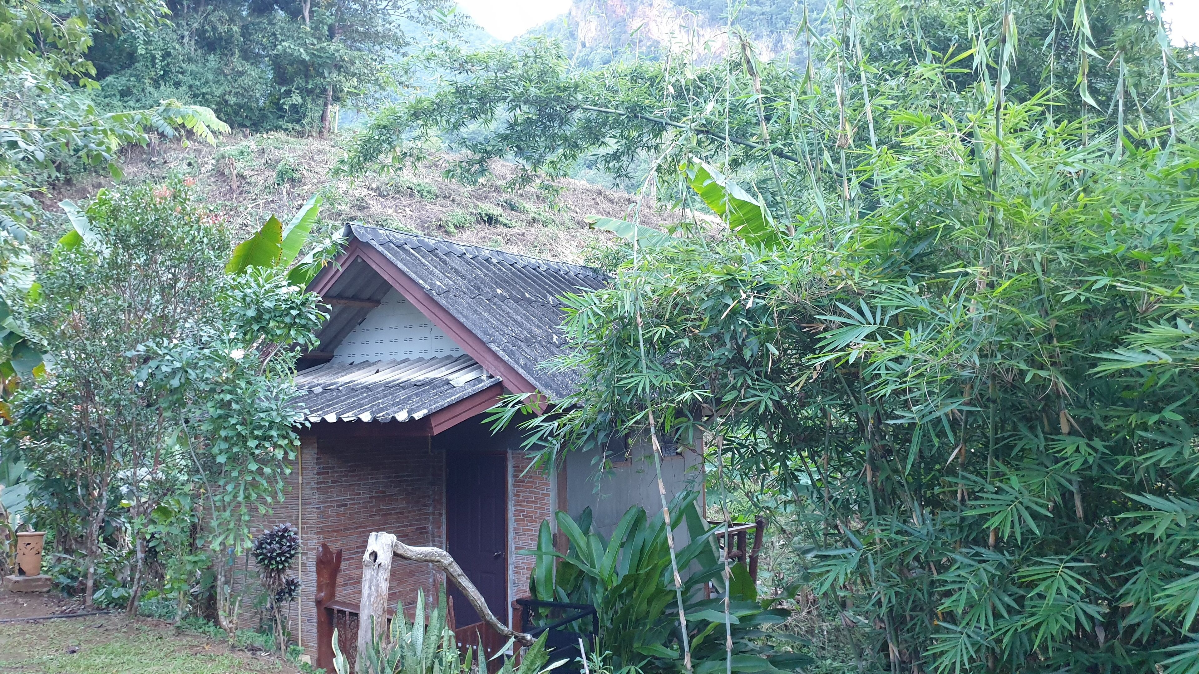 Una pequeña casa rústica con techo inclinado, rodeada de abundante follaje.