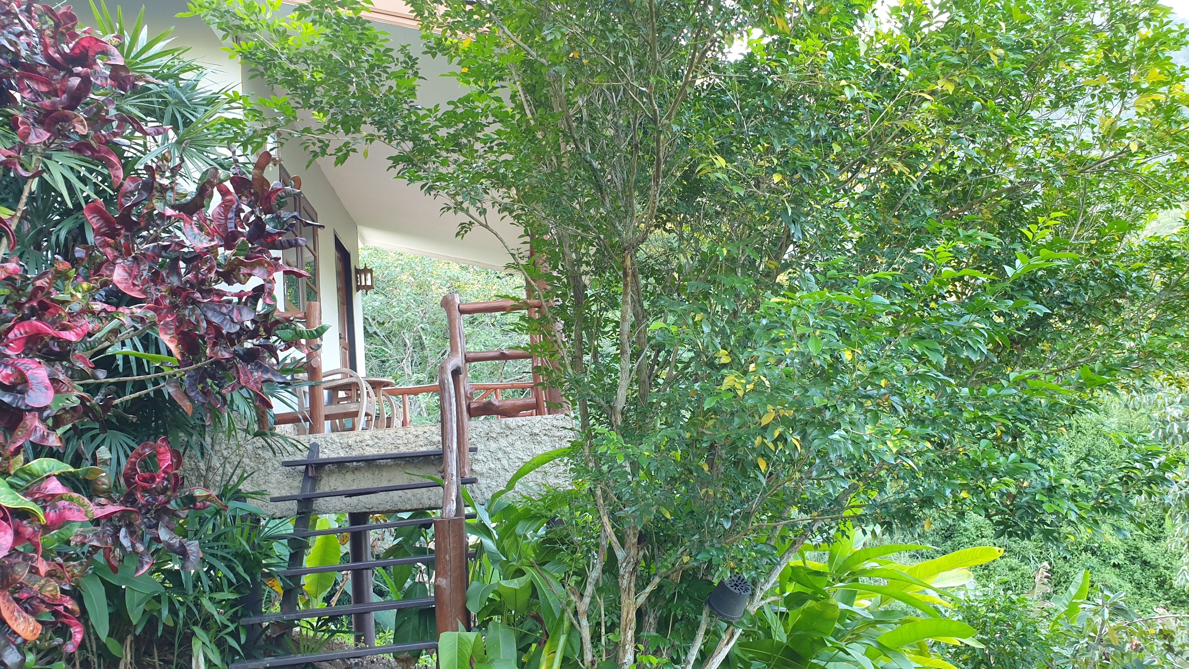 Una escalera de madera que conduce a un balcón con vistas a exuberante follaje y un edificio al fondo.