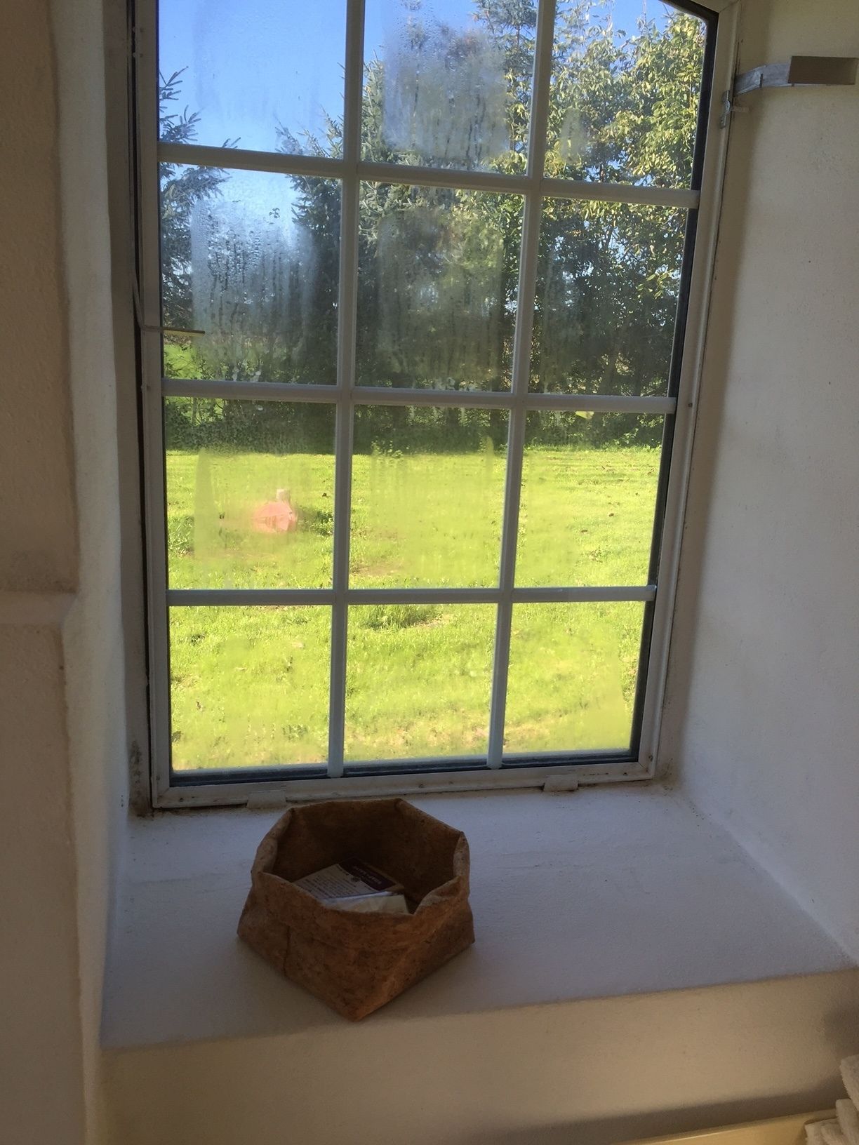 Single Room | View from room