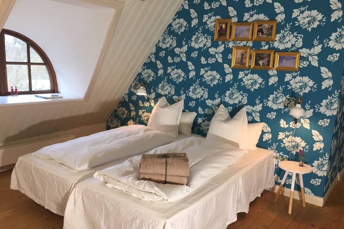 Habitación familiar | Tabla de planchar con plancha y wifi gratis 