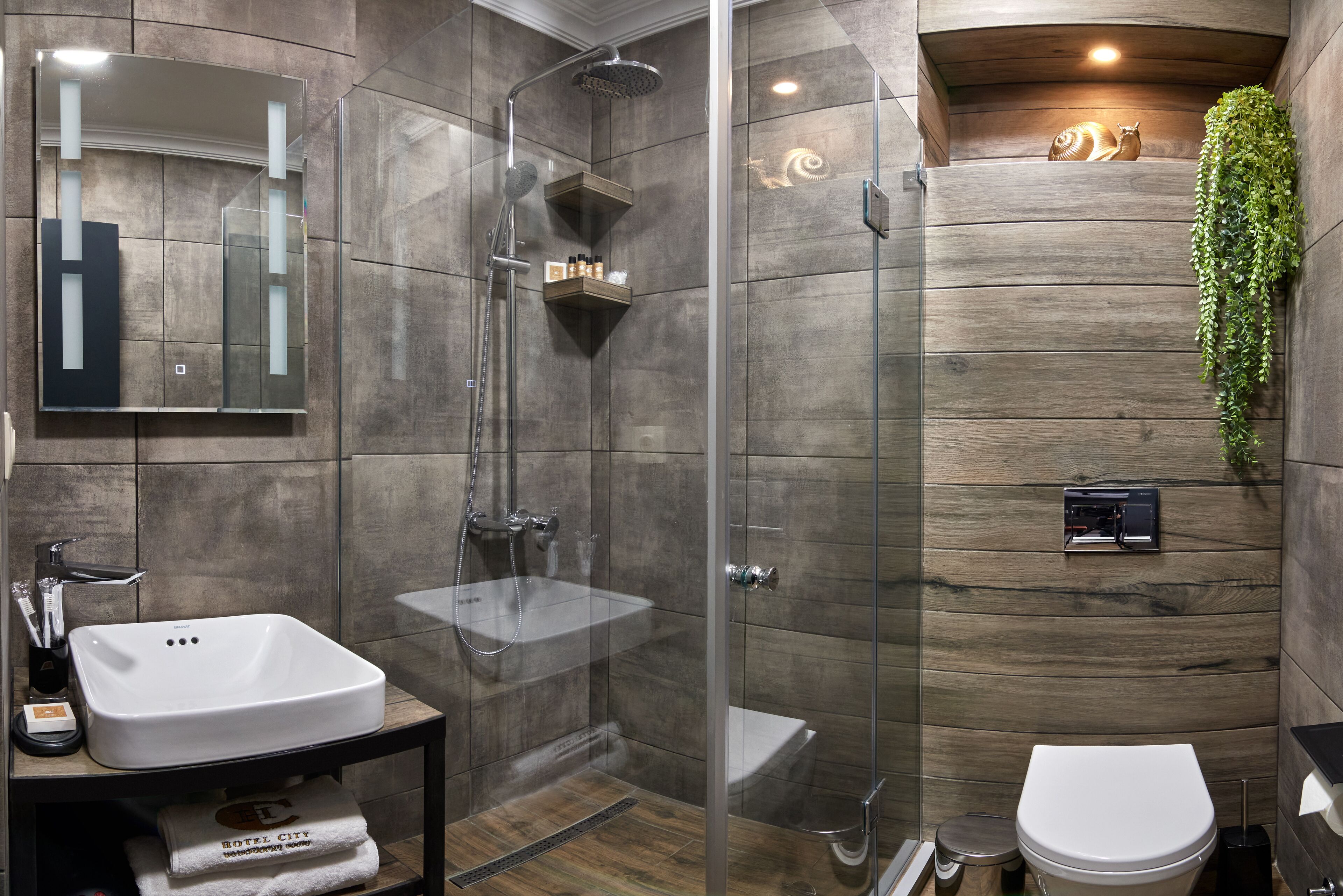A modern bathroom with a glass-enclosed shower, a white sink, and a toilet.