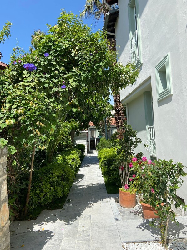 Exterior