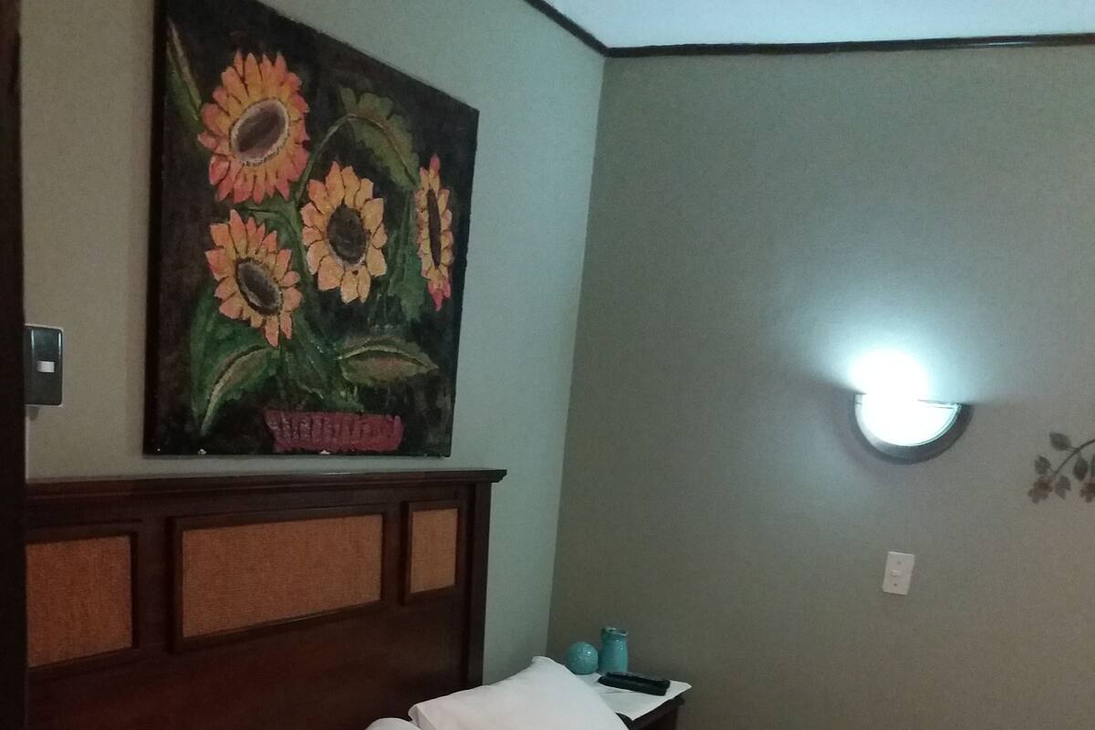 Habitación doble estándar, 1 cama Queen size | Wifi gratis