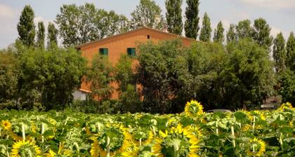 Agriturismo Pinzale