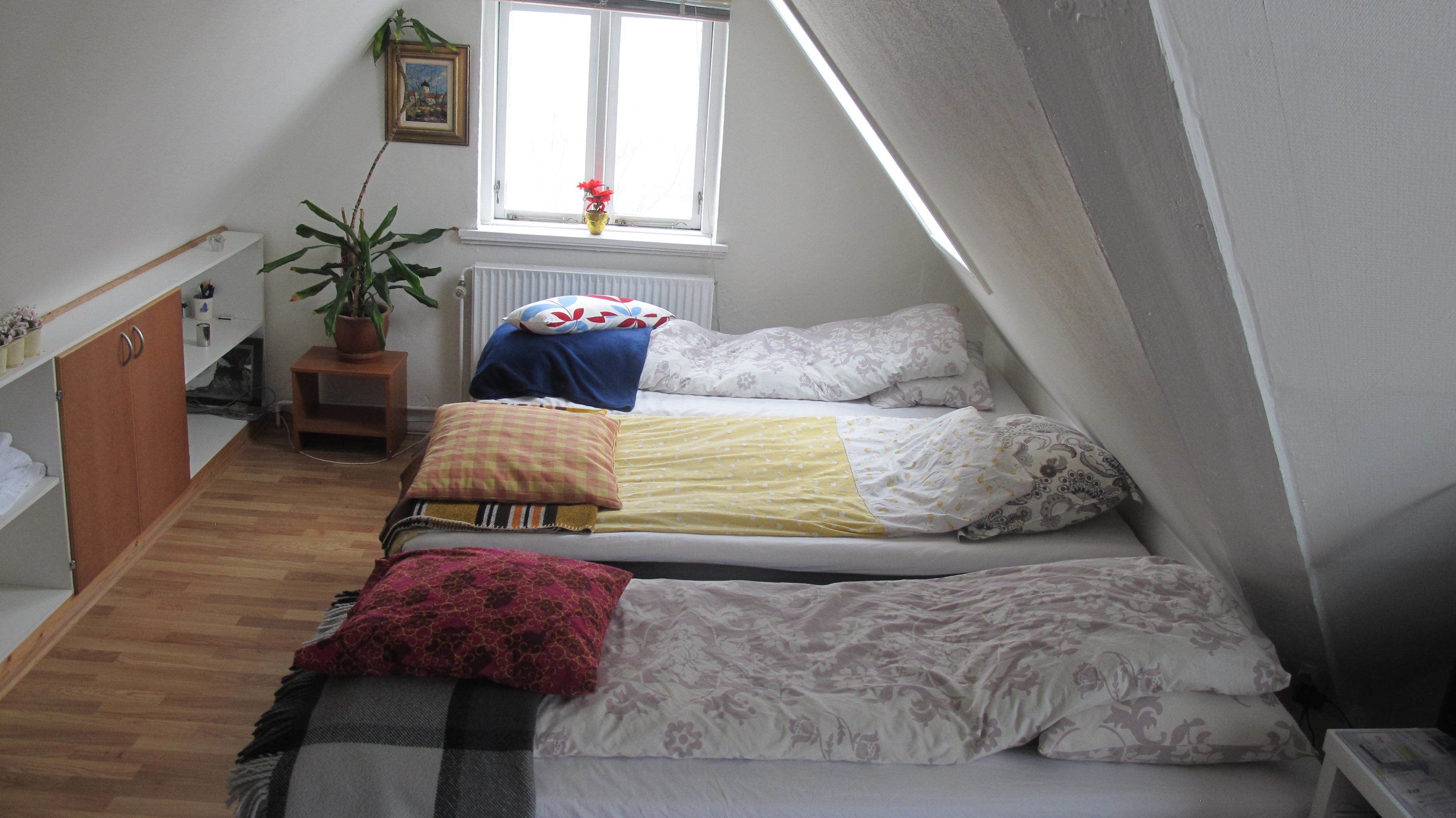 Une chambre de type dortoir avec un plafond en pente, une fenêtre donnant sur un paysage agréable, un radiateur, une petite plante et un lit avec plusieurs oreillers et couvertures.
