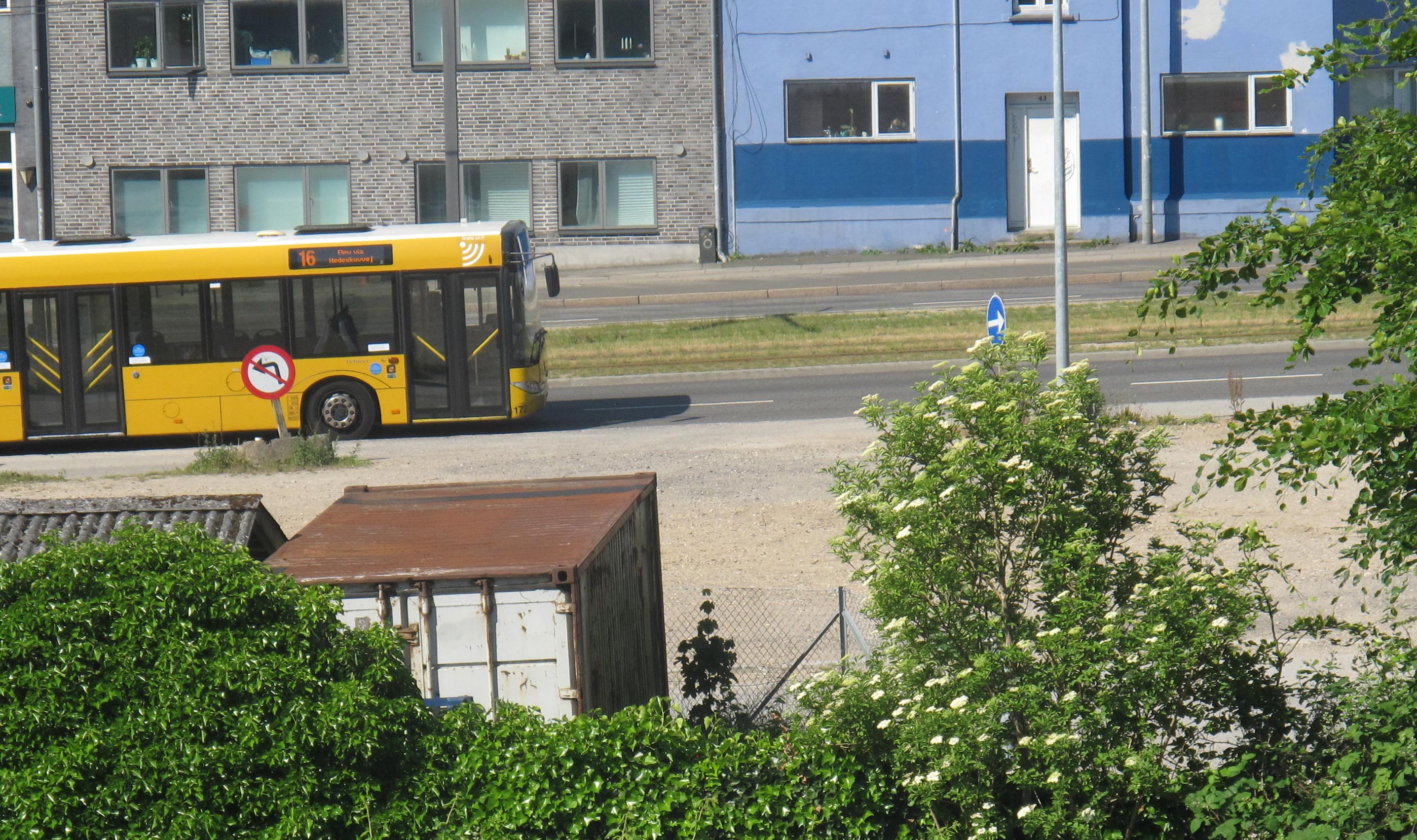 A yellow bus with a no left turn sign, a building with blue and gray walls, and greenery in the foreground.
