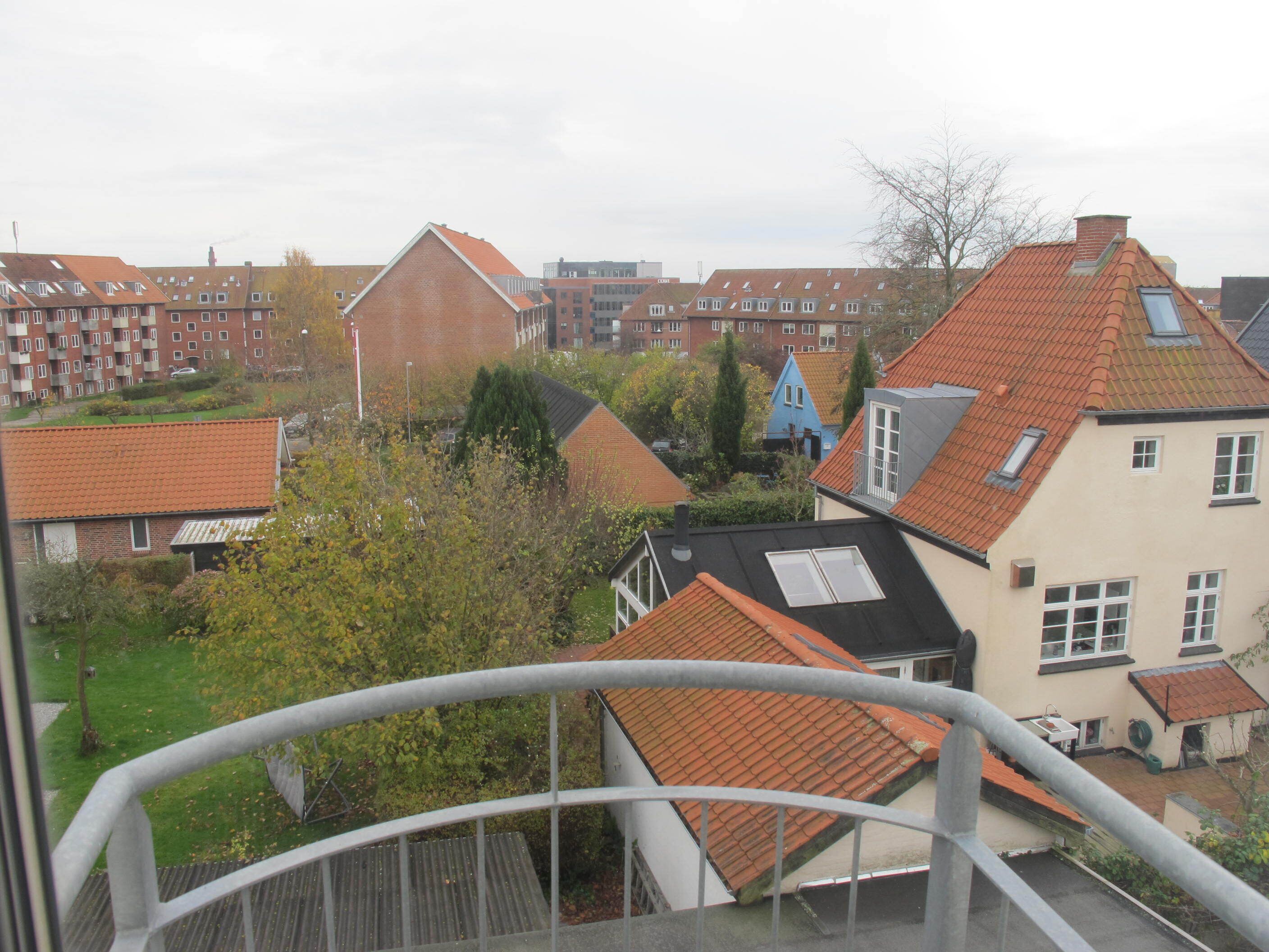 舒適四人房, 1 間臥室 | 客房景觀