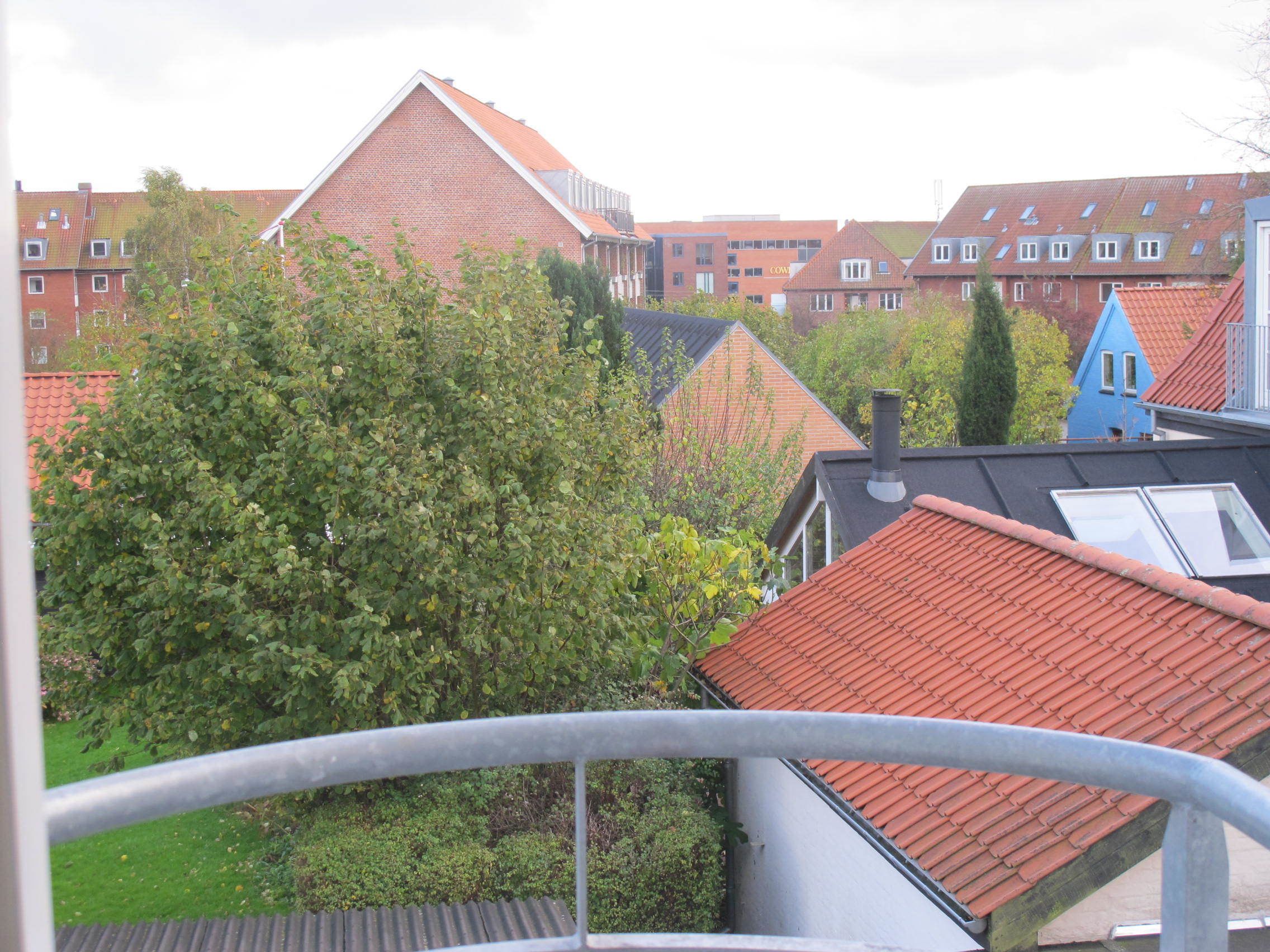 A residential area with red-tiled roofs, a blue building, and a tree in the foreground.