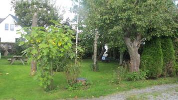 A garden with a picnic table, a large tree, and a white building in the background.
