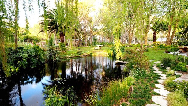 Garden - Waterland (Cape Town)