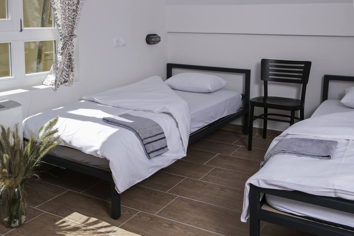 Quarto com duas camas de solteiro, uma cadeira, uma mesinha e um vaso de planta.