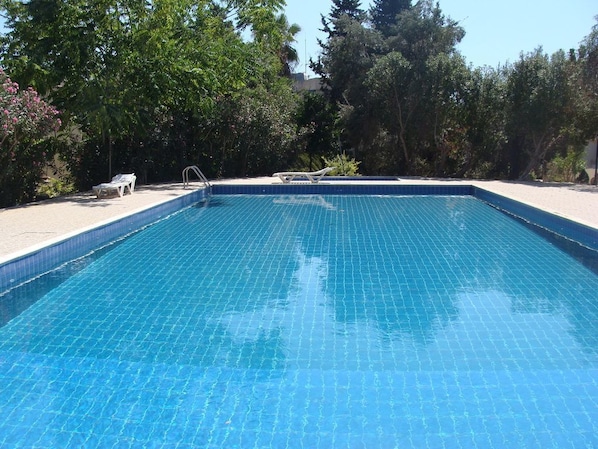 Outdoor pool, pool loungers