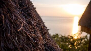 A close-up of a textured surface with a blurred background featuring a sunset over water.