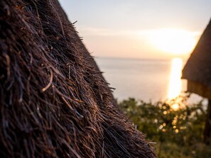 A close-up of a textured surface with a blurred background featuring a sunset over water.
