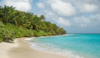 Una playa cerca