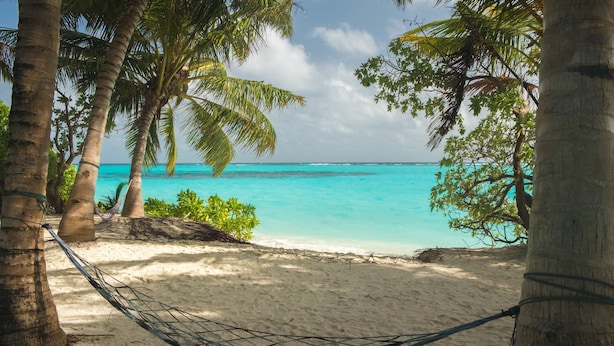 A hammock between palm trees on a sandy beach with clear turquoise water. - Athiriveli (Thoddoo)