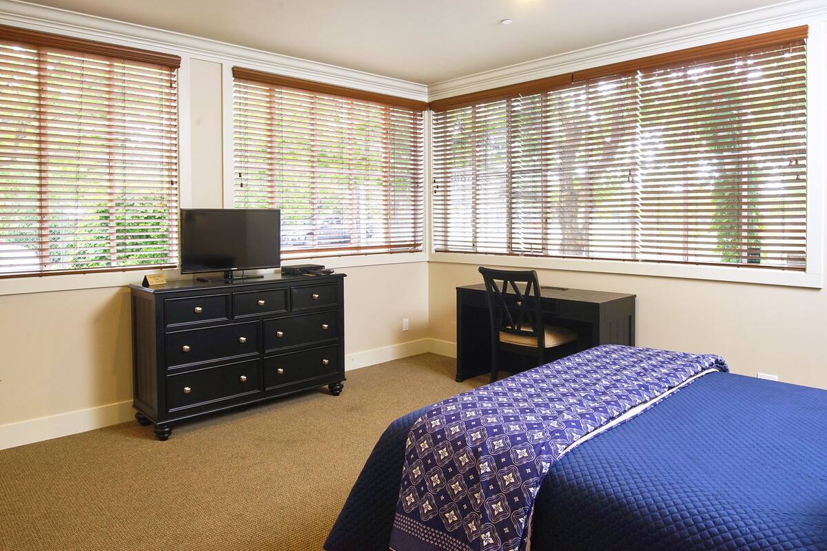 A bedroom with a bed, a dresser, a TV, and a desk.