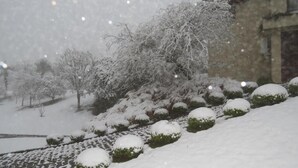 A snow-covered landscape with trees and bushes. - Olidal Pousada da Serra (Gramado)