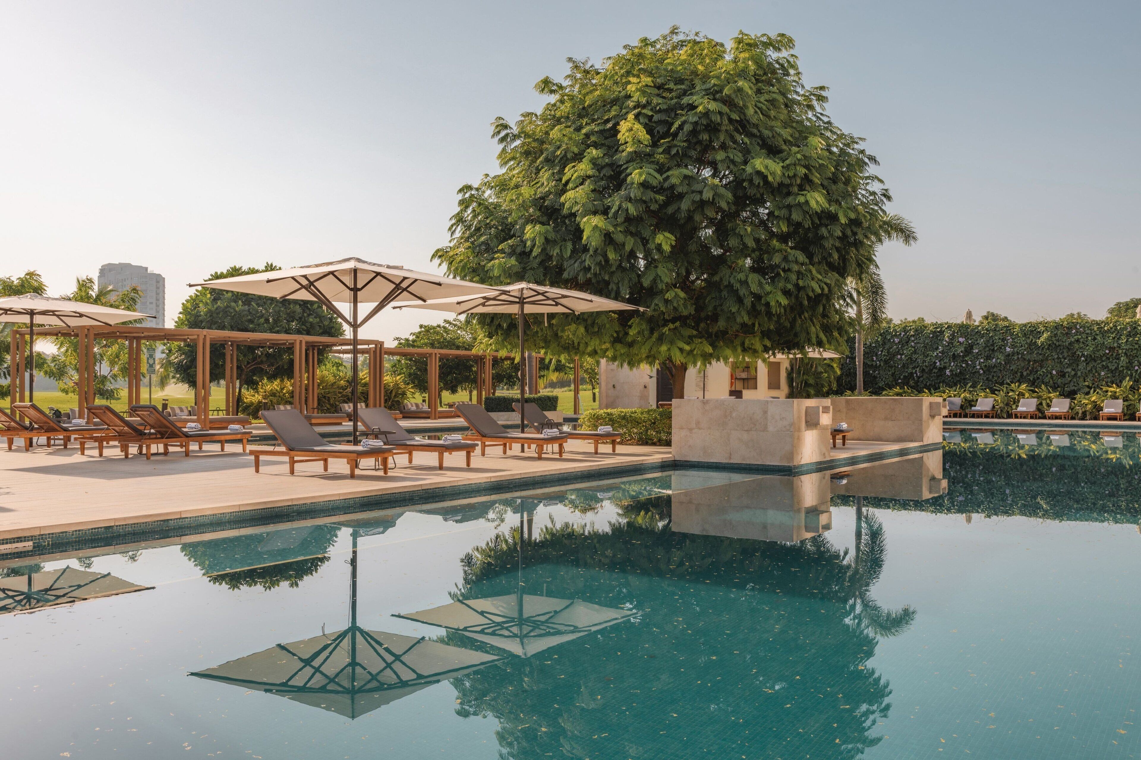 A pool area with lounge chairs and umbrellas, surrounded by greenery and a large tree.