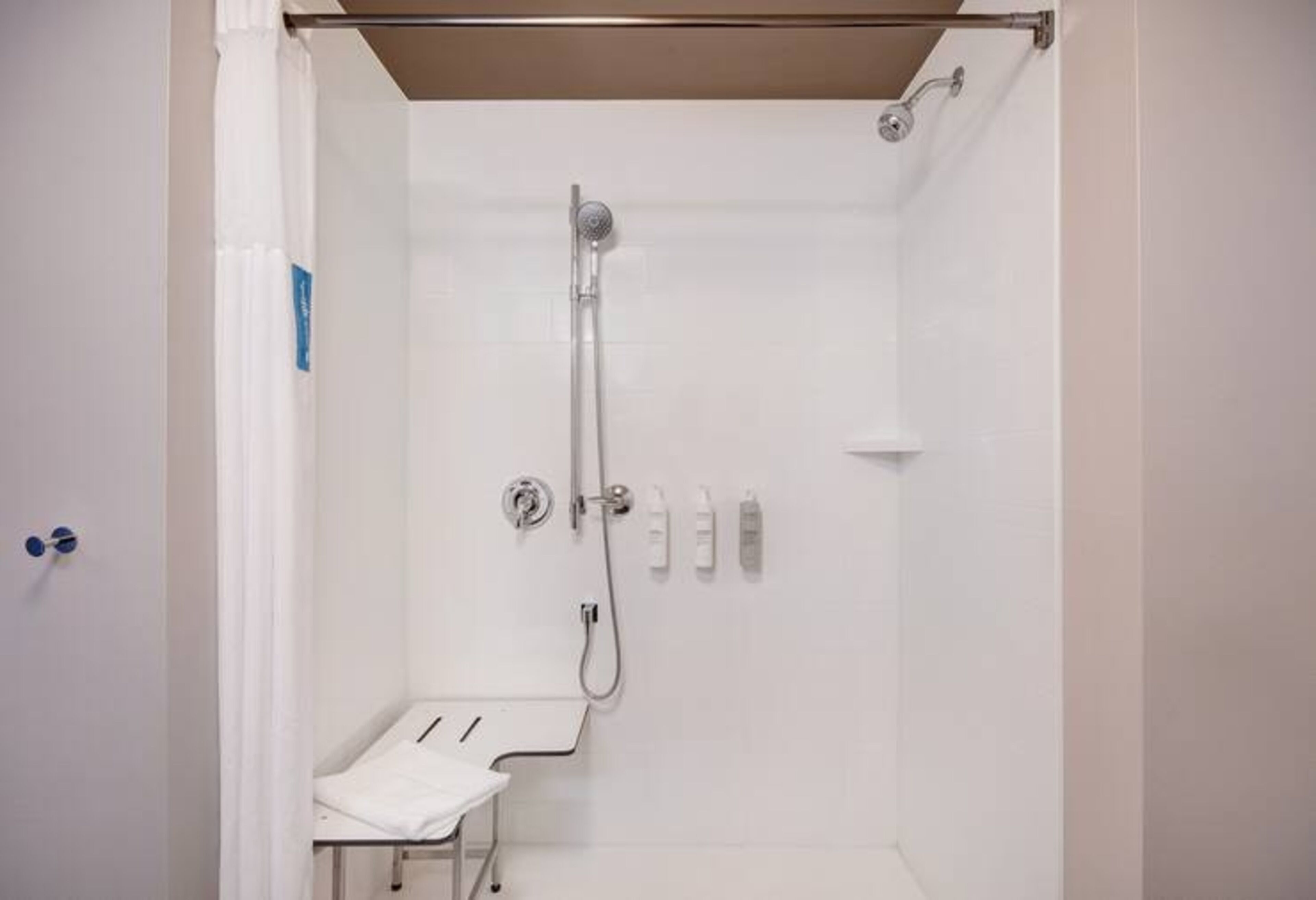 room, 1 king bed, accessible (roll-in shower) | bathroom | free toiletries, hair dryer, towels, soap