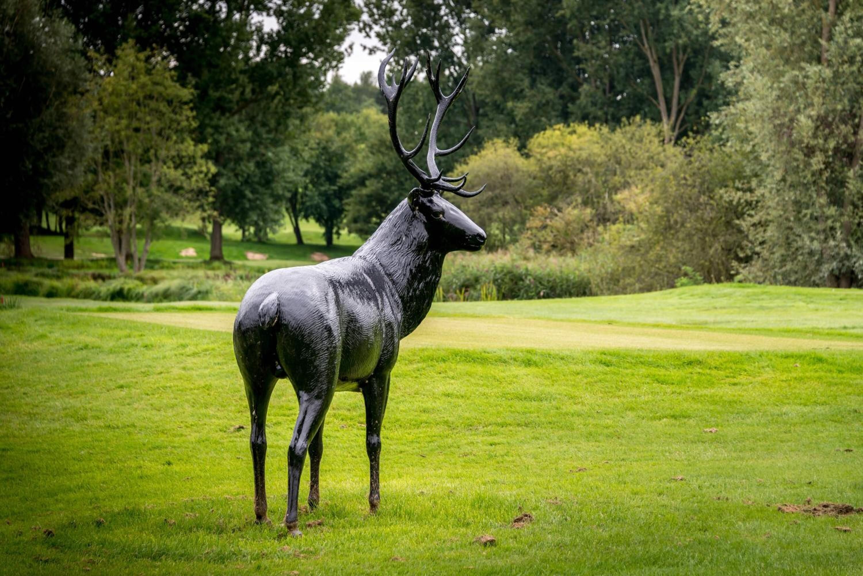 A large elk statue in a grassy field with trees in the background.
