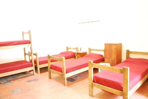 Standard Shared Dormitory, Mixed Dorm, Private Bathroom (6)