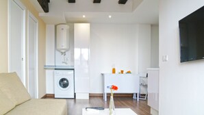 Un espacio habitable compacto con sofá, una mesa de centro con un florero, lavadora y televisor montado en la pared.