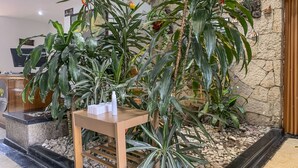 A reception area with a stone wall, a wooden reception desk, and several large potted plants. - Ayenda 1080 Bogota Alpes Castellana (Bogotá)