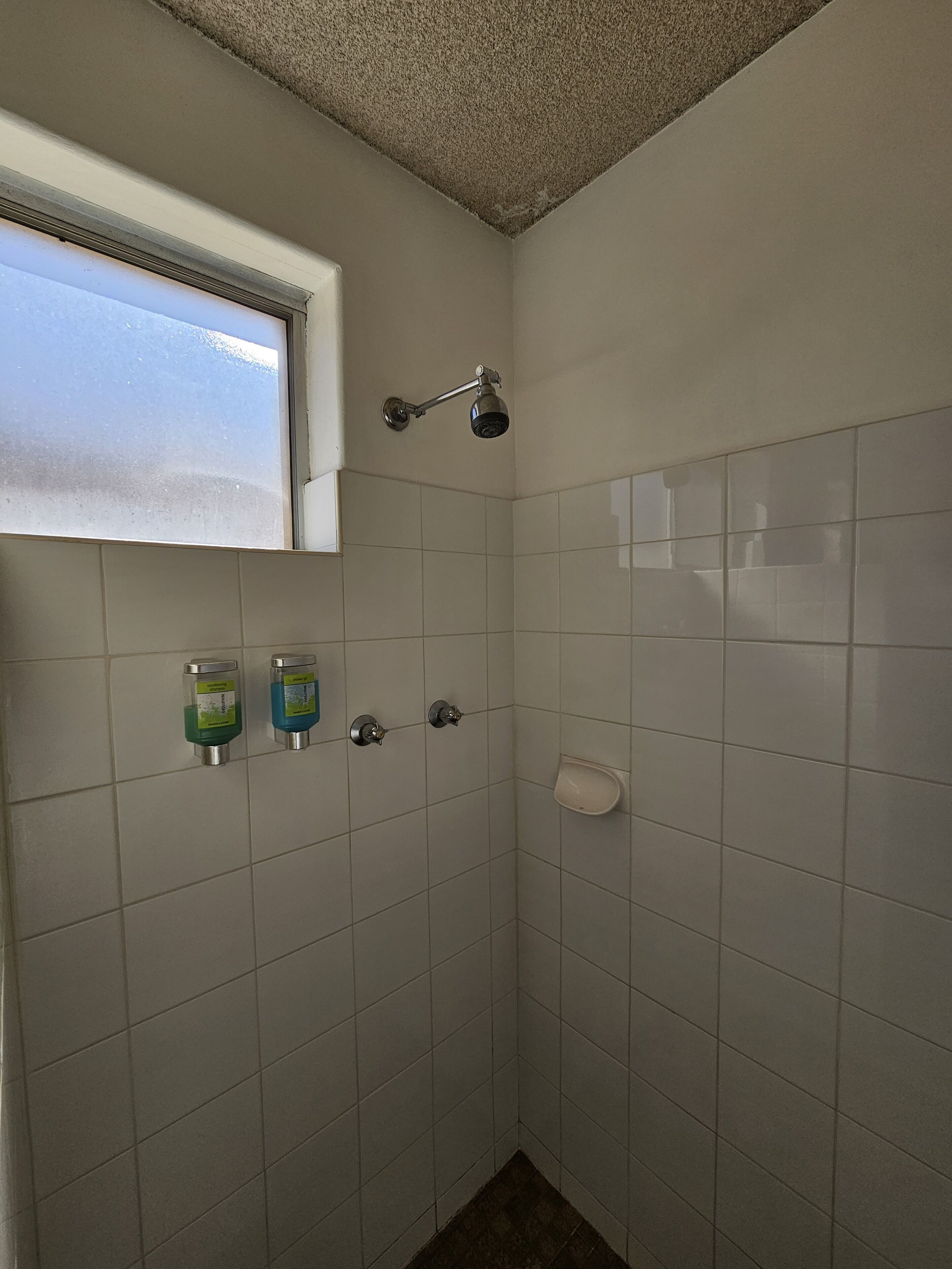 Een kleine, betegelde douche met een raam boven de douchekop, een zeepdispenser en een handdouche.