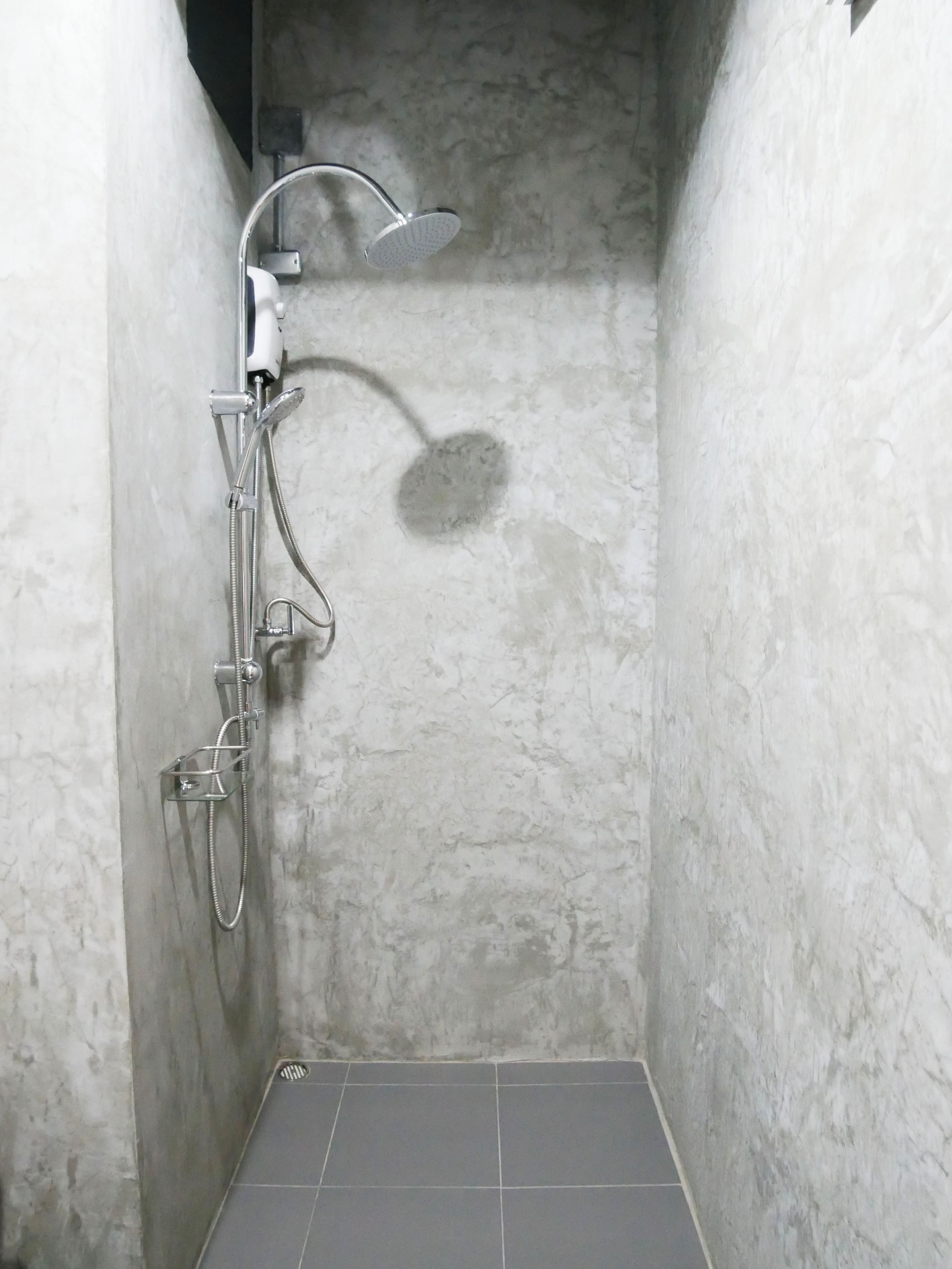 Foto - The Companion