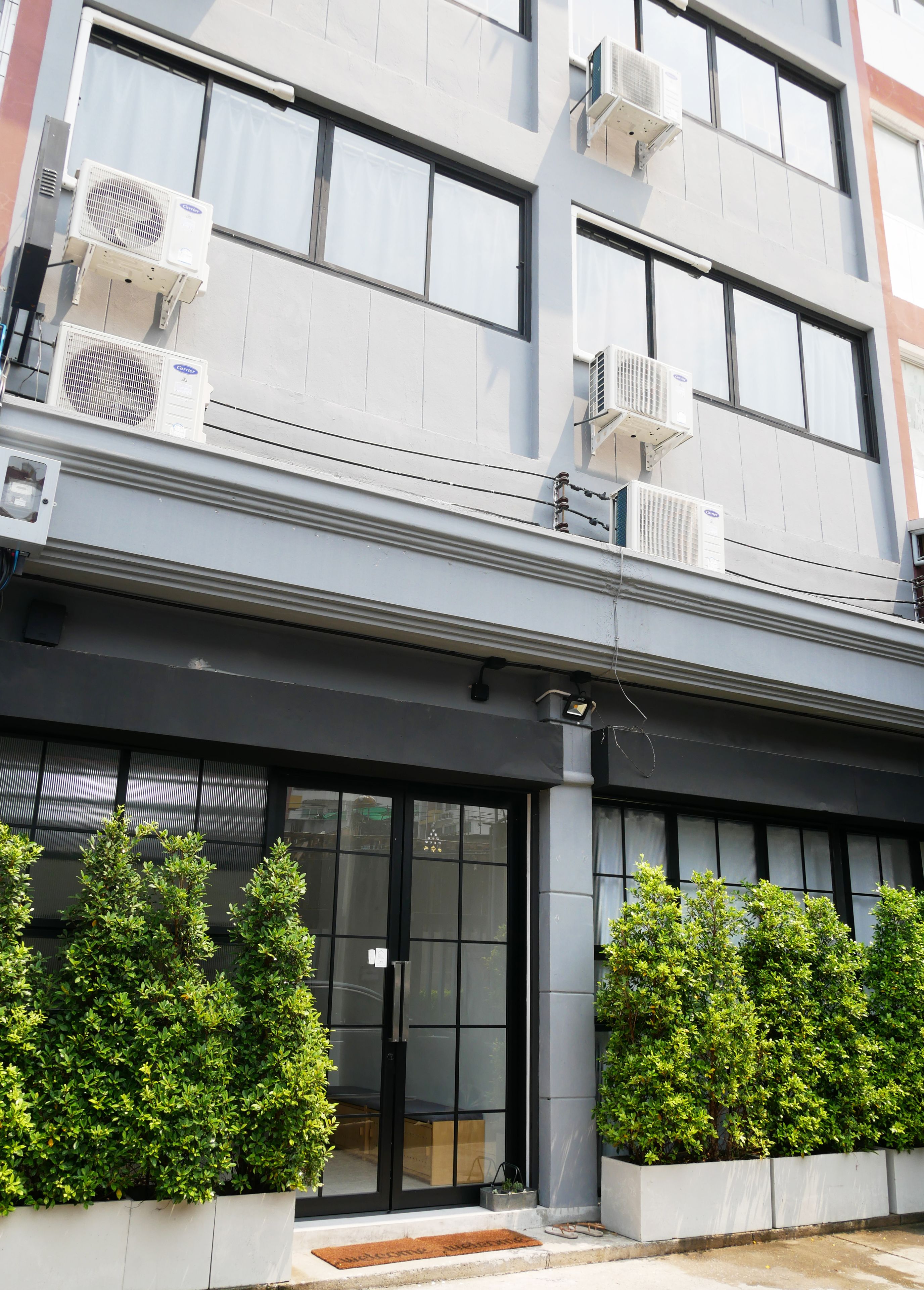 Foto - The Companion