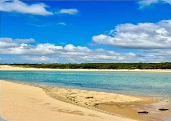 Beach nearby, sun loungers
