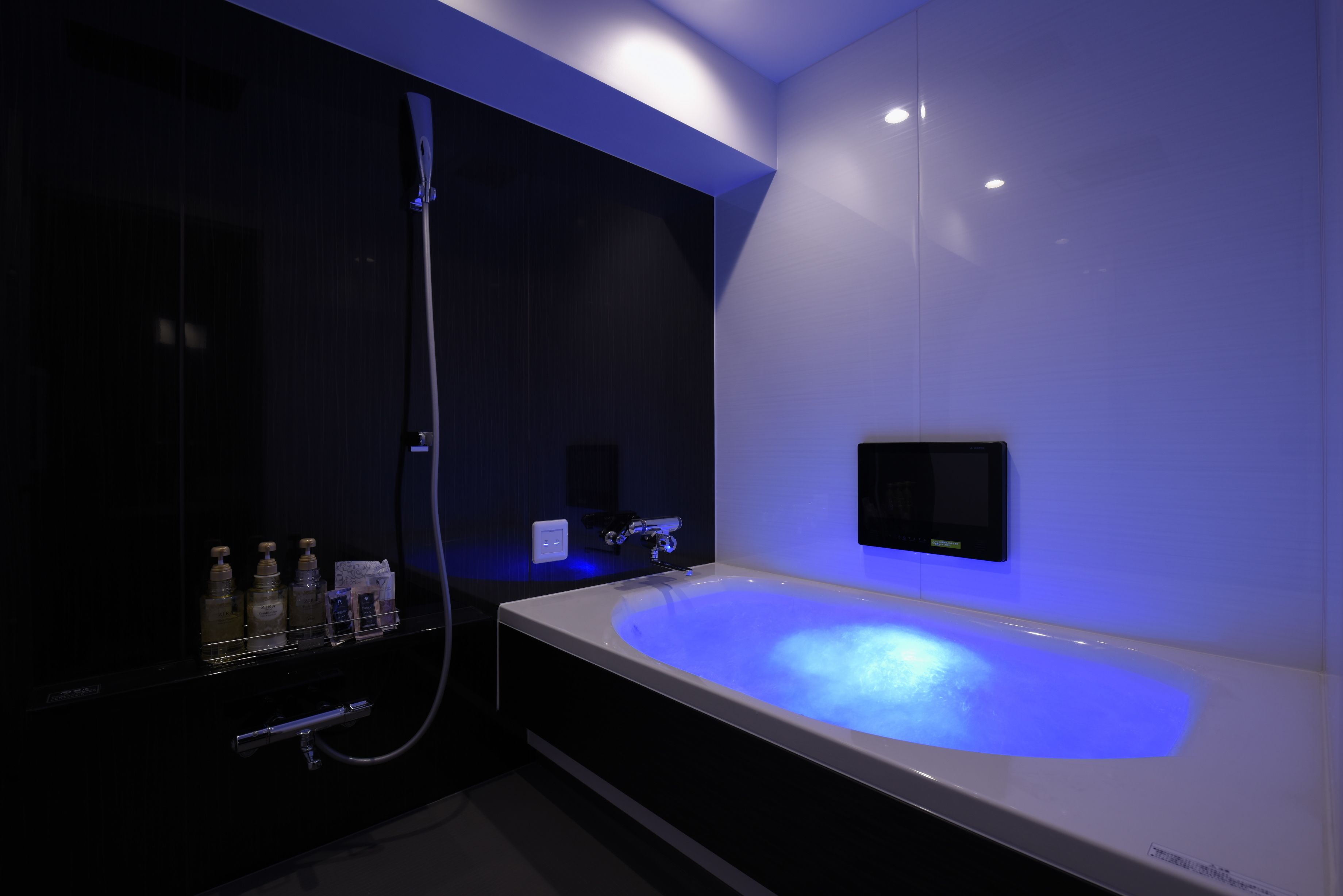 double room | bathroom | separate bathtub and shower, jetted bath, free toiletries, hair dryer