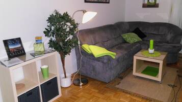 Televisión, reproductor de DVD, libros y estéreo