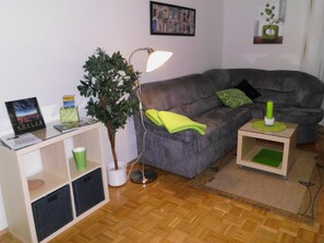 Televisión, reproductor de DVD, libros y estéreo
