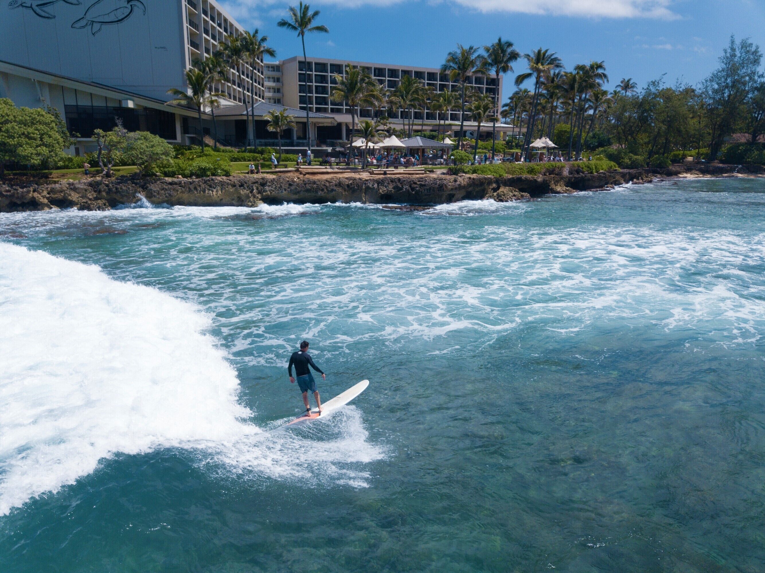 Een surfer op een golf nabij een hotel met palmbomen en een rotsachtige kustlijn.